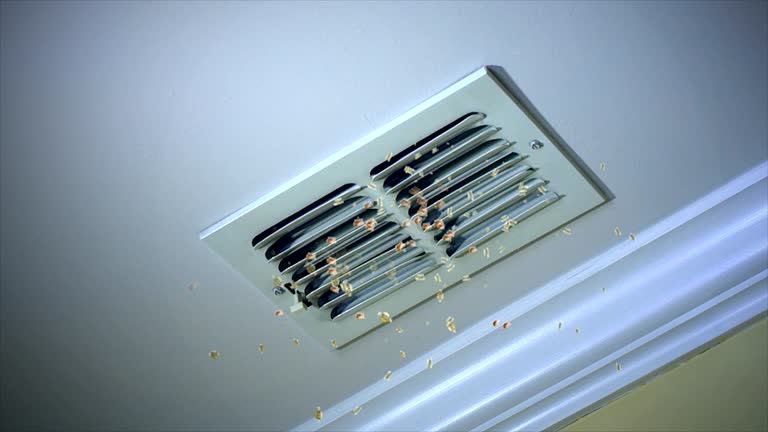 Best Duct Cleaning for Homes  in Fincastle, TN
