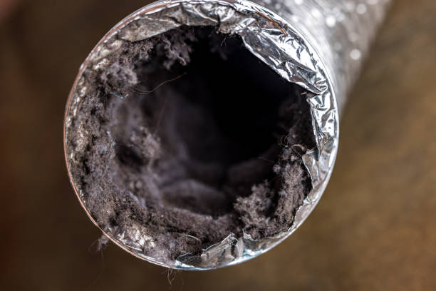 Best Affordable Duct Cleaning Services  in Fincastle, TN
